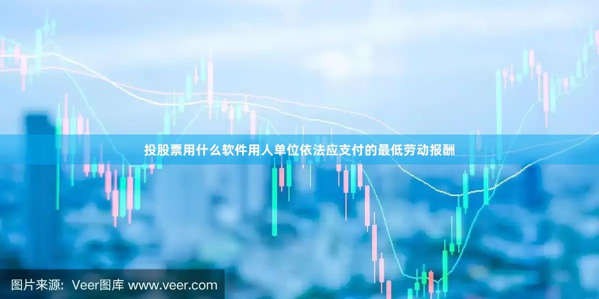 投股票用什么软件用人单位依法应支付的最低劳动报酬