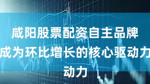 咸阳股票配资自主品牌成为环比增长的核心驱动力
