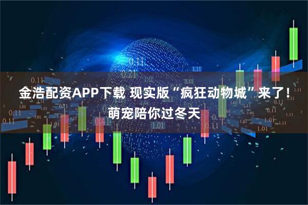 金浩配资APP下载 现实版“疯狂动物城”来了！萌宠陪你过冬天